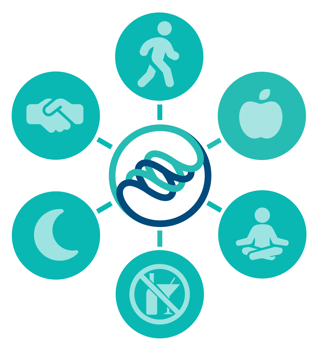 Health 360 Pillars
